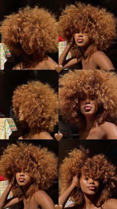 Afro Hair Colors Ideas, Black Couple Dyed Hair, Coily Hair Color Ideas, Afro With Highlights, Afro Colored Hair, Dyed Curly Hair Black Women, Afro Dyed Hair, Ginger Afro Hair, Colorful Natural Hair