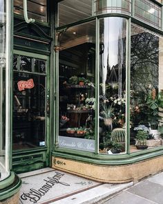 a green store front with lots of potted plants in it's glass windows