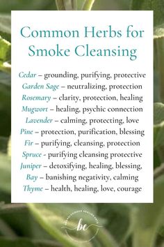 Smoke cleansing involves burning various herbs to cleanse a space, eliminate negative energy, create a sacred environment, and more. Cedar, Sage, Rosemary, Lavender, Mugwort, Pine, Fir, Spruce, Juniper, Bay, Thyme are some common herbs used Herbs By Intention, Juniper Sage Benefits, Burning Rosemary Witchcraft, Burning Herbs Witches, Burning Rosemary Benefits, Negative Energy Cleanse Home Burning Sage, Herbs To Burn In Your Home, Herbs For Negative Energy, Burning Mugwort Benefits