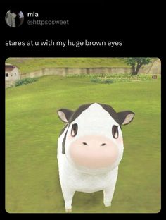 a cow standing in the middle of a field with caption that reads, it starts at u with my huge brown eyes