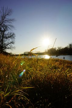 the sun shines brightly over a body of water with reeds in the foreground