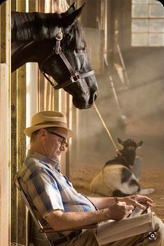 The thoroughbred Ruffian hanging out in her stall. She won 10 consecutive races, usually by wide margins. During a 1975 match race with Foolish Pleasure, she broke a leg and had to be euthanized. Horses Racing, Horse Portraits, Horse Movies, Horse Therapy, Thoroughbred Horse Racing, Who Is She, Beautiful Arabian Horses, Sport Of Kings