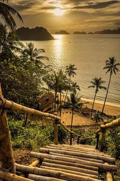 stairs leading down to the beach with palm trees on both sides and sunset in the background