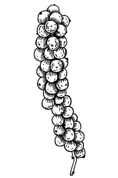 a bunch of grapes hanging from the side