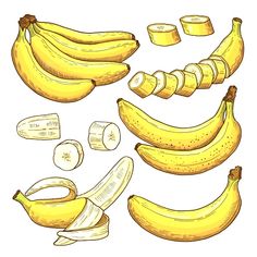 banana slices and bananas on a white background - food objects clippings / illustrations