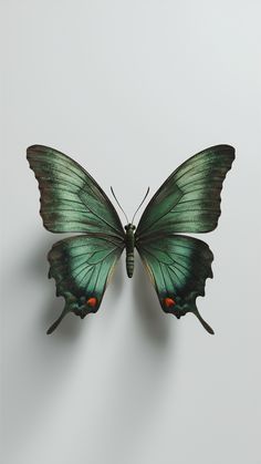 a green butterfly with red eyes and wings