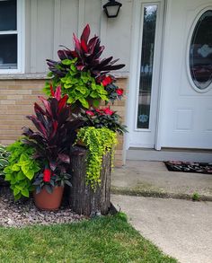 two potted plants in front of a house