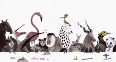 a drawing of many different animals and birds