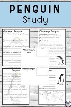 the penguin study is shown with penguins and other things to read about them in this book