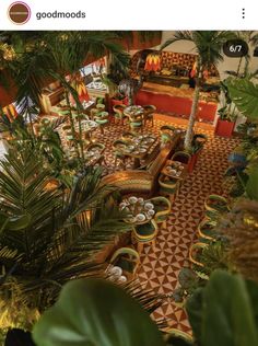 an overhead view of a restaurant with tables and chairs, palm trees and potted plants