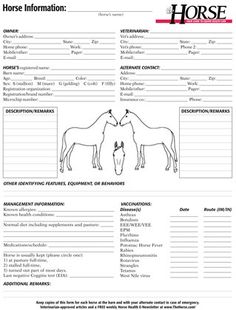 the horse information sheet is shown