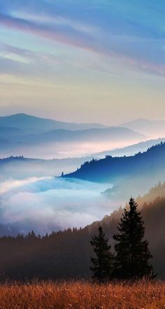 the mountains are covered in fog and low lying clouds