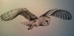 a drawing of an owl flying in the sky