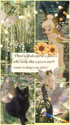 a collage of pictures with cats and fairy dusts in the background, there is a quote from tinkerbell