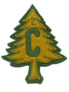 a green and yellow christmas tree with the letter c on it's back side