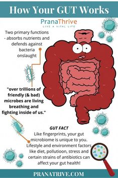 Gut microbiome testing Australia. Prana Thrive are gut health experts. Become a master of your microbiome with our online consultations and testing services. Gut Health Facts, Fodmap Meal Plan, Gut Problems, Gut Health Diet, Gut Health Recipes, Health Fitness Inspiration, Improve Gut Health, Gut Microbiome