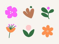 four different flowers are shown on a white background, one is orange and the other is pink