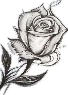 a black and white drawing of a rose