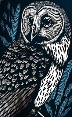 an owl sitting on top of a tree branch next to pine cones and needles in blue ink