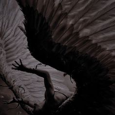 an artistic painting of a large bird with wings spread out, reaching for the ground