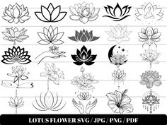 lotus flowers and leaves on lined paper in black and white, with text that reads lotus flowers