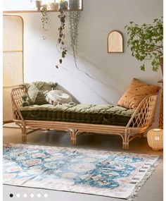 a living room with a couch, rug and potted plants on the wall next to it