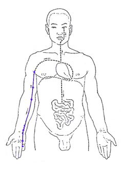 Lung Meridian, Energy Meridians, Meridian Energy, Asian Medicine, Health Zone, Reflexology Massage, Tai Chi Chuan