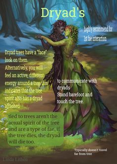 Types Of Fae Creatures, Fae Offerings, Dryad Tattoo, Types Of Fae, Types Of Elves, Fairy Lore, Fairies Mythology, Fae Creatures, High Fae