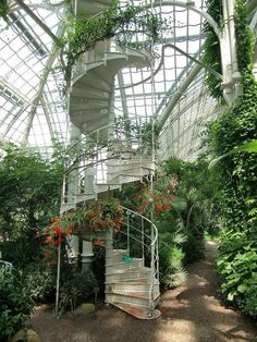 a spiral staircase in a greenhouse filled with plants