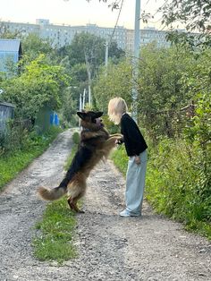 a boy and his dog playing with each other on the side of a dirt road