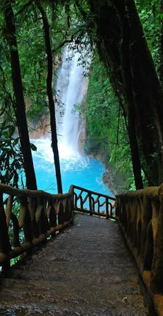 a wooden walkway leading to a waterfall in the woods next to a blue body of water