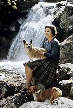 a woman sitting on rocks with two dogs