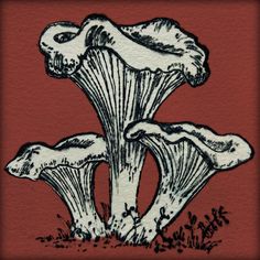 three mushrooms are sitting on the ground in front of a red background with black and white ink