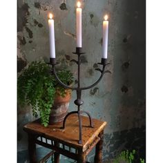 a candle holder with three lit candles on top of a wooden table next to a potted plant