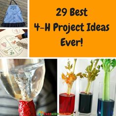 several different vases with flowers in them and the words 29 best 4 h project ideas ever