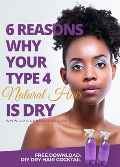 Type 4 Natural Hair, Dry Natural Hair, Natural Hair Treatments, Diy Hair Color, Natural Hair Regimen, Natural Hair Care Tips, 4c Natural Hair, Fishtail Braid