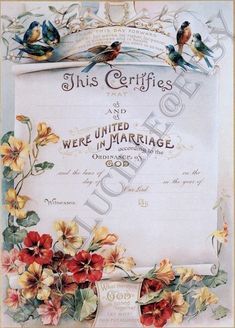 this certificate is decorated with flowers and birds