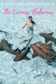 a woman wading in the water surrounded by sharks with text overlay reading bucket list experiences in the exumas, bohans