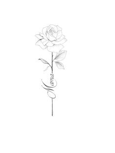 a drawing of a rose with the word love written in cursive writing on it