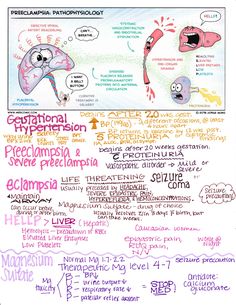 a poster with words and pictures on it that include different types of neurons