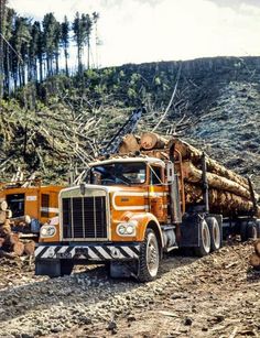 an orange truck hauling logs down a dirt road