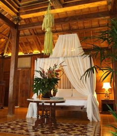 a canopy bed in a room with wooden walls and ceiling beams, surrounded by potted plants