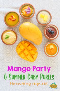 mango party 6 summer baby purees no cooking required