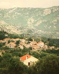 an old photo of a small village in the mountains with trees and bushes around it