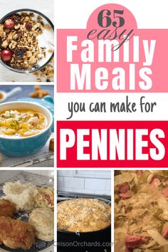 the top ten family meals you can make for pennies with text overlays