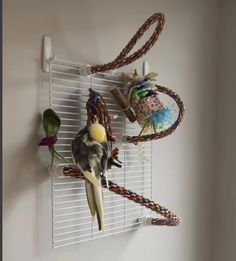 a bird sitting on top of a white wire shelf next to a wall mounted toy