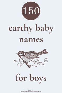 the cover of 150 earthy baby names for boys, with an image of a bird on