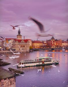 birds are flying over the water in front of a boat on the river with buildings and seagulls around it