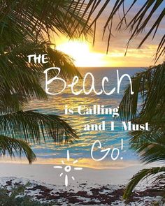 the beach is calling and i must go quote with palm trees in front of it