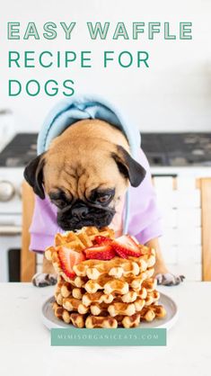 Discover the best Waffle Recipe for Dogs! Our homemade, healthy, and organic recipe features fresh beef liver, perfect for small dogs and senior pups. All-natural, grain-free, and packed with nutritious meat, it's great for picky dogs like golden doodles, poodles, and pitbulls. Learn how to make this budget-friendly, easy, and cheap dog food recipe. Keep your furry friend happy and healthy with this delicious, no-chicken treat. Say goodbye to boring meals with this tasty waffle!